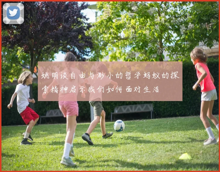 姚明谈自由与渺小的哲学蚂蚁的探索精神启示我们如何面对生活