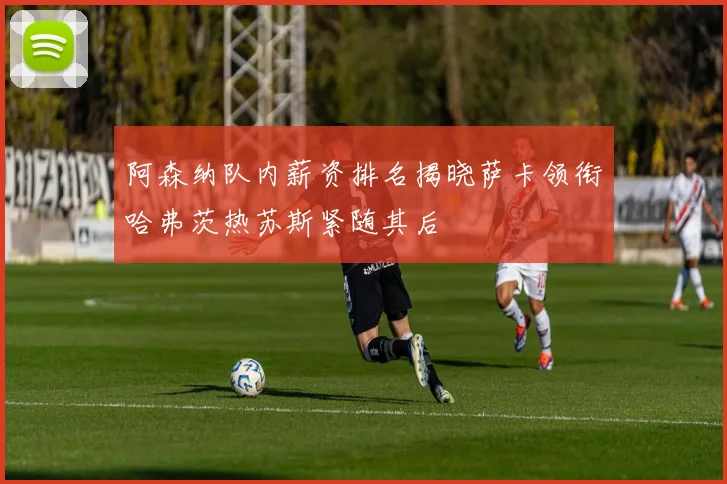 阿森纳队内薪资排名揭晓萨卡领衔哈弗茨热苏斯紧随其后