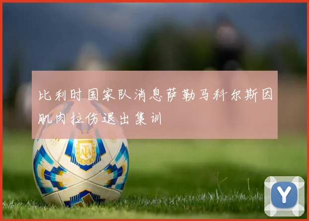 比利时国家队消息萨勒马科尔斯因肌肉拉伤退出集训