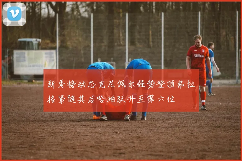 新秀榜动态克尼佩尔强势登顶弗拉格紧随其后哈珀跃升至第六位