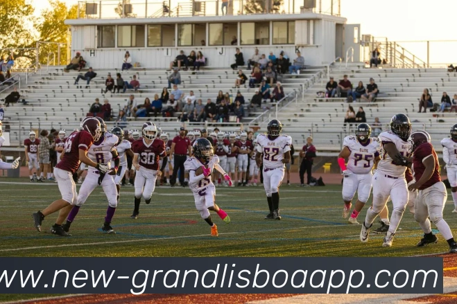 多媒体互动体验