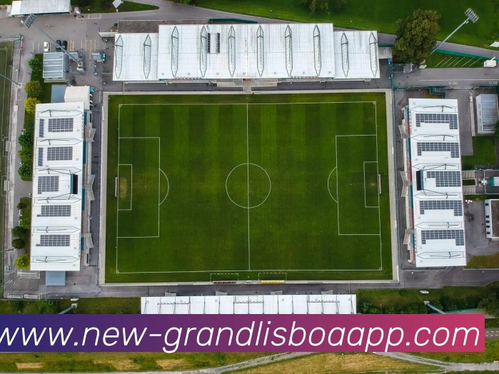 新葡京娱乐APP 体育赛事宣传图